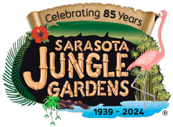 Sarasota summer camps